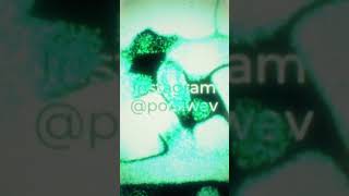 [FREE] LUCKI TYPE BEAT - #luckitypebeat #lucki #typebeat #youngnudytypebeat