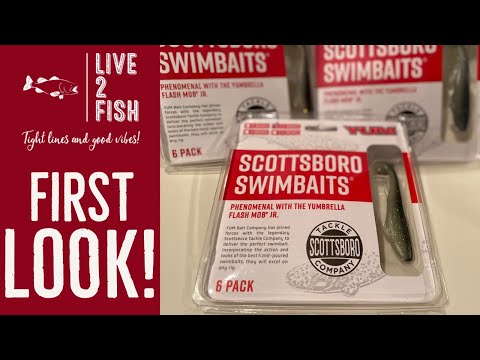 YUM Scottsboro Swimbait - First look new product reveal! 