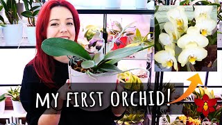 This is my first ever Orchid! + Some awesome Orchids I had to show you!