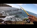 PÊCHE du BORD 2019 : Un THON ROUGE ATTAQUE un MULET À QUELQUES MÈTRES DE MOI!!