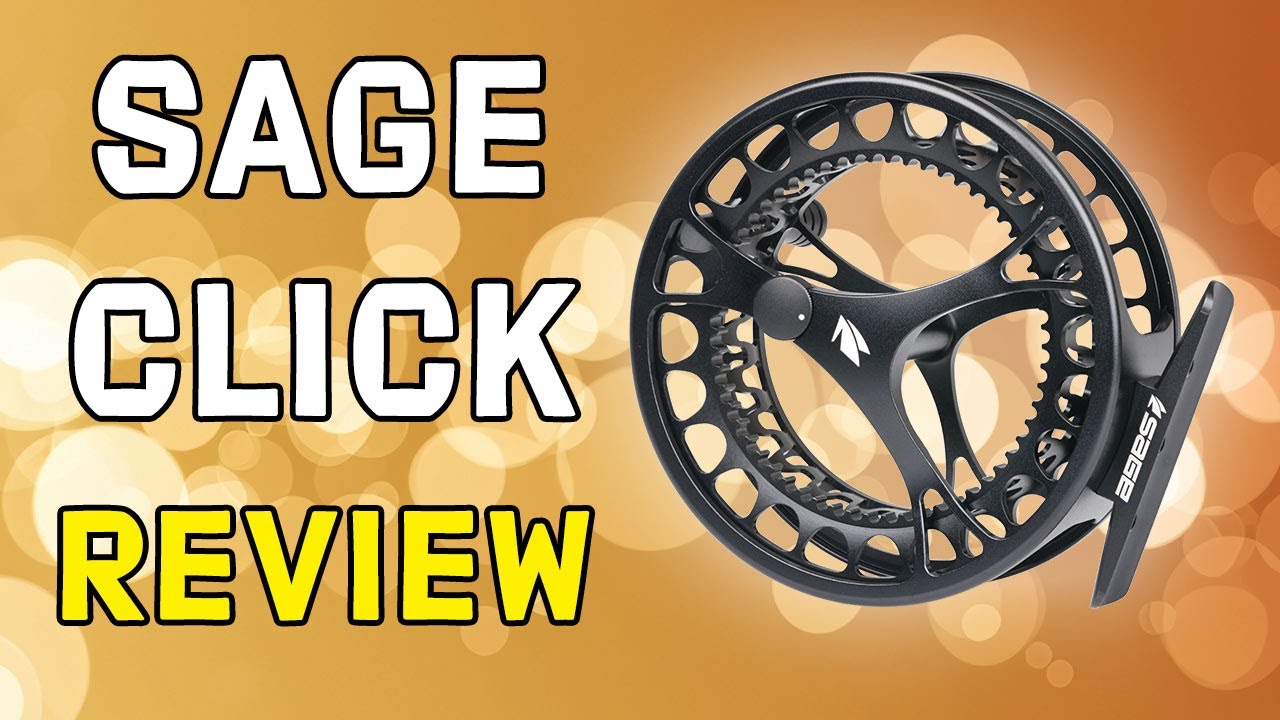 Sage Fly Reels: Shop Reels from $150+