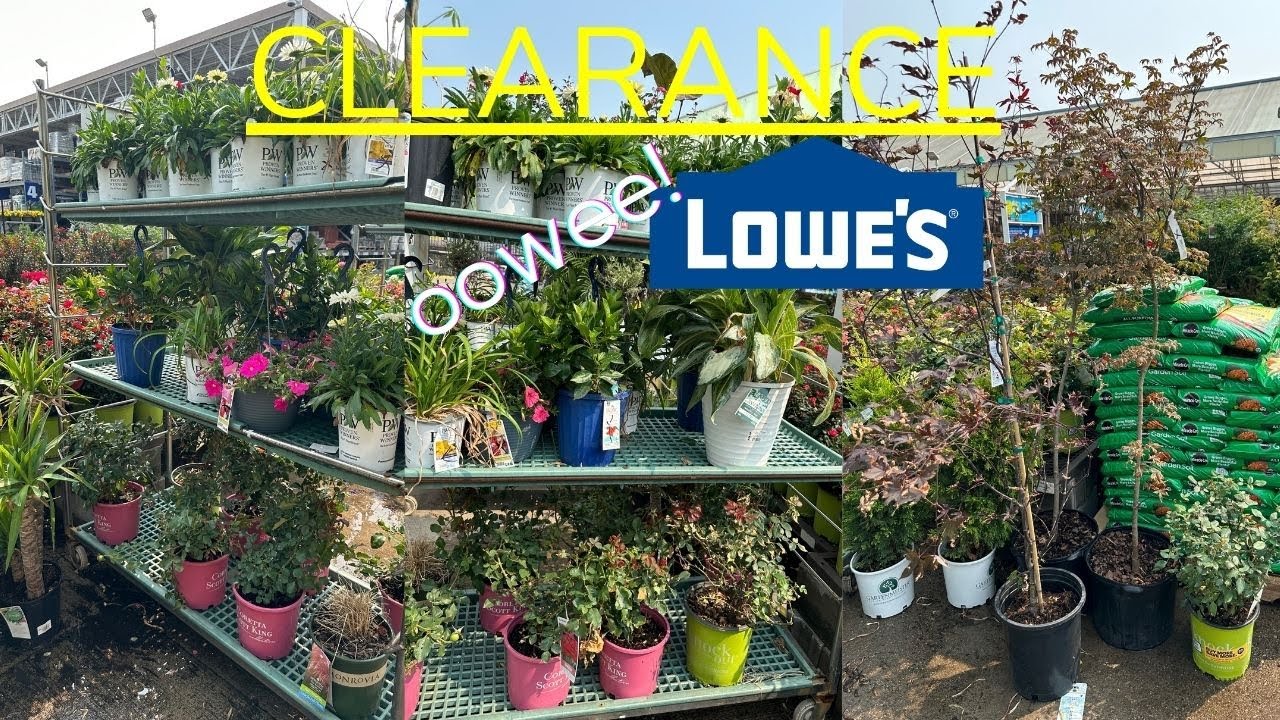 🌻Lowe's Garden Clearance | Shop With Me - YouTube