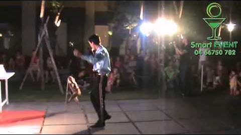 Đoàn xiếc khỉ, xiếc chó, xiếc trăn.