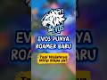 Resmi! Evos Datangkan Roamer Baru! Kiboy?