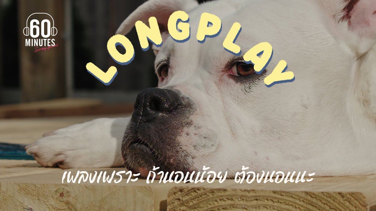 เพลงเพราะ ถ้านอนน้อย ต้องนอนนะ【LONGPLAY】