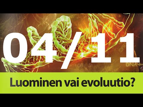Video: Genomiset Lähestymistavat Sadon Evoluution Tutkimiseen