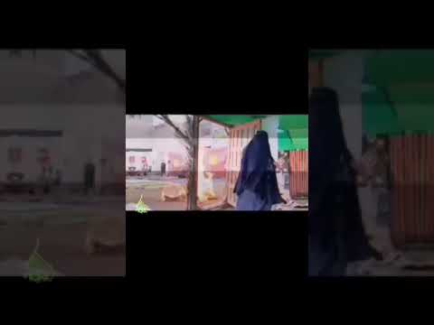السلام عليك يا فاطمة الزهراء اللهم العن اول ظالم ظلم حق محمد وال محمد وأخر تابع له على ذلك