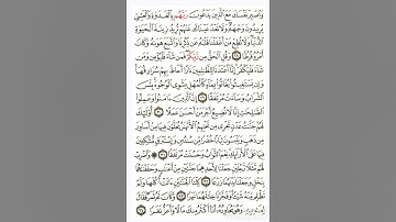 سورة الكهف بصوت الشيخ ماهر المعيقلي الآيات من (28-34) 🌴