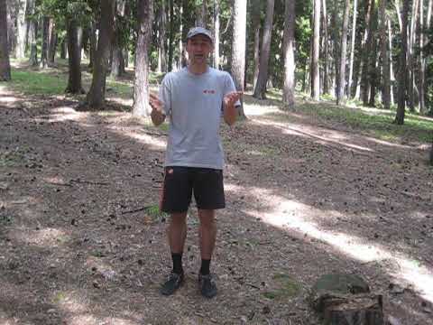 რატო არ მიხარია დაბადების დღე და რატო ჯობია სკოლის დრო