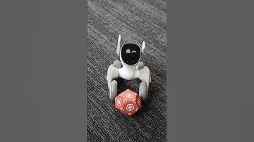 Playtime with Loona!