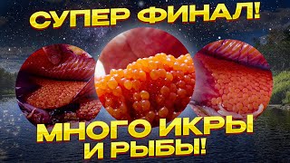РЫБАЛКА - КОСМОС! БЕШЕНЫЙ КЛЁВ  РЫБЫ, разделка, ПОСОЛ ИКРЫ в тузлуке. Такой ухи вы еще не видели!