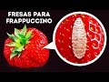 Insectos rojos en tu Frappuccino: ¿mito o verdad?