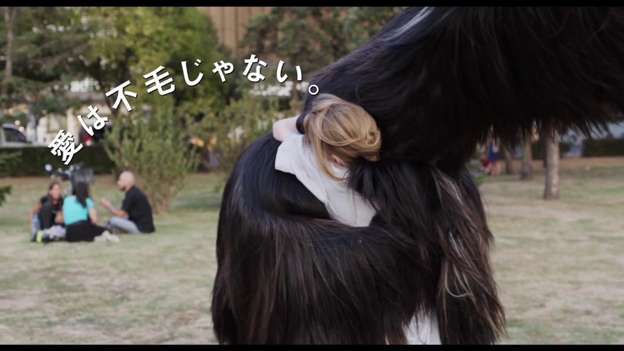 映画『ありがとう、トニ・エルドマン』公式サイト