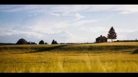 ﴿يدبر الأمر من السماء إلى الأرض﴾ تلاوة هادئة للشيخ بندر بليلة