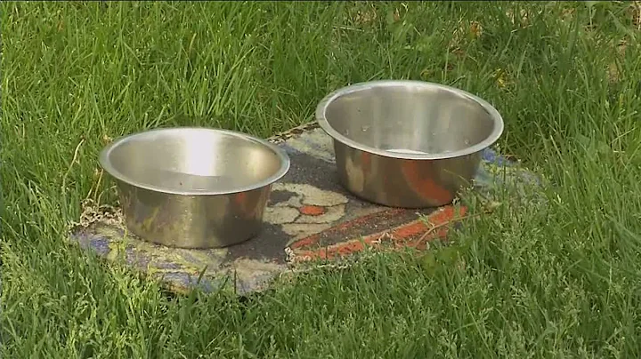 Controversy brewing over pitbull shooting