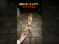 母猫に返したはずが…まさかの結末