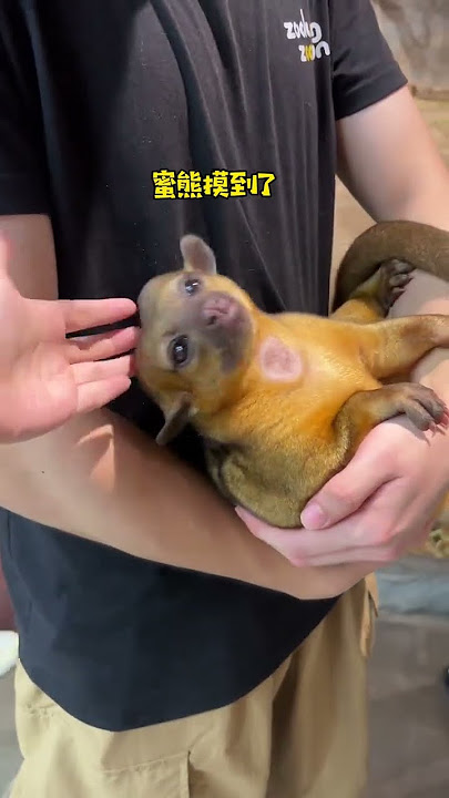 I believe I must go to Changsha Zoolung Changsha Zoolung Large Indoor Zoolung Wang Sicong's Zool