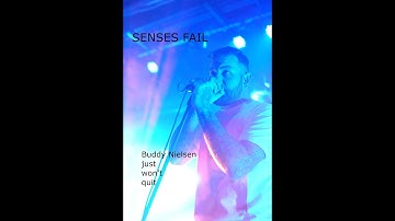Senses Fail, interview 2 with Buddy Nielsen
