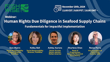 Fundamentals for Human Rights Due Diligence in Seafood Supply Chains