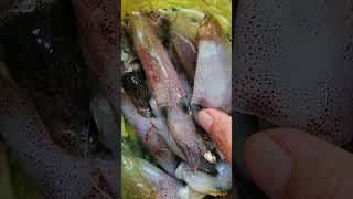 The Fresh Squid Lightened The Bowl Of Instant Noodles.