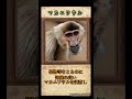 人知を超えたサル?マカニワサルについてご紹介🐒 #shorts #かぎあな紹介