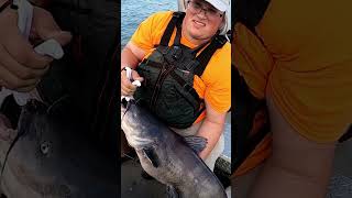 Catching Giant Fish In Current