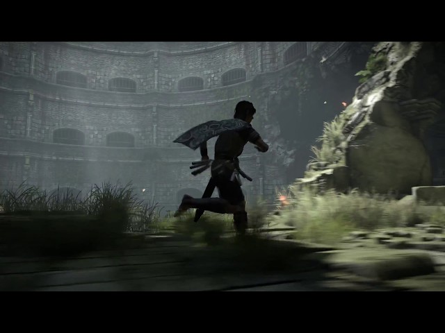  Shadow of the Colossus (PS4) : Video Games