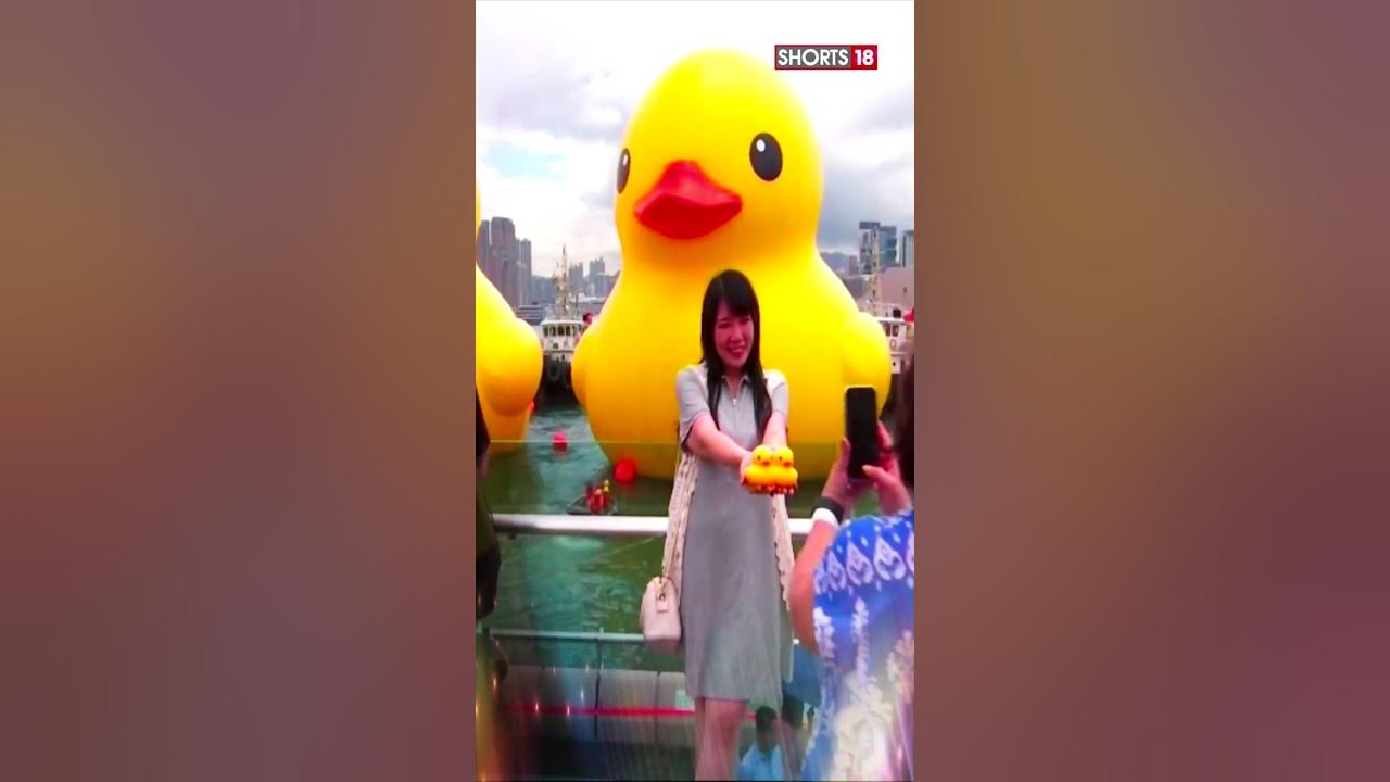 Two giant rubber ducks debut in Hong Kong in bid to drive double