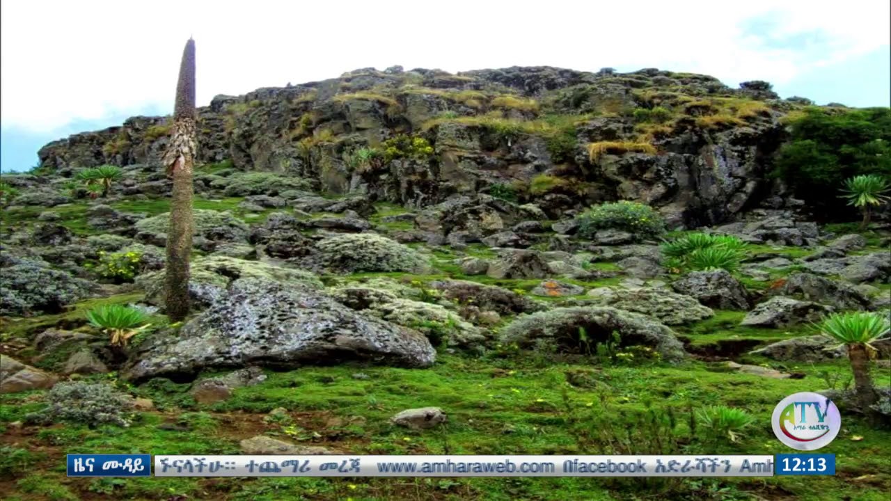 የጮቄ ተራራ በጥብቅ ስፍራነት ተመዘገበ፡፡ gonderitakip