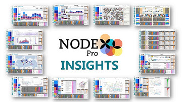 NodeXL Pro INSIGHTS