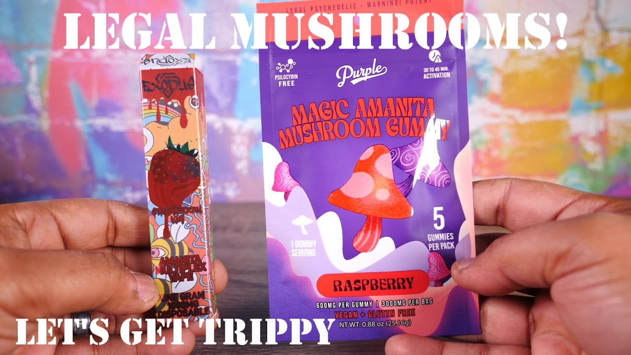 Legal Mushrooms?!?! Purple Amanita Mushroom Gummy Review! VapingwithTwisted420