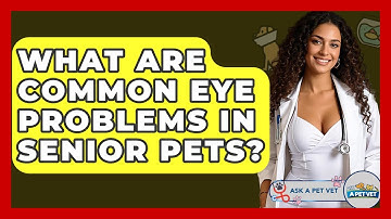 What Are Common Eye Problems In Senior Pets? - Ask A Pet Vet