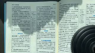 2023 1102 十字牌早餐 重新立約 出埃及記 DAY 107