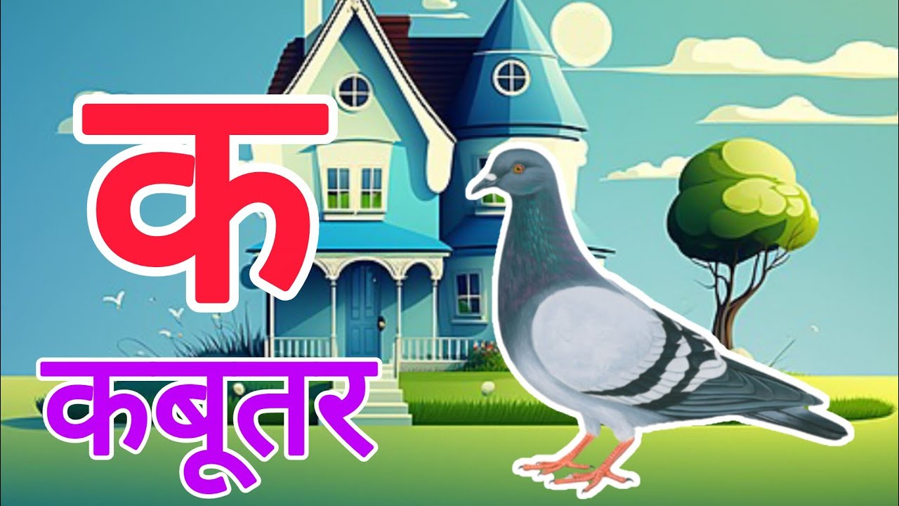 क से कबूतर,अ से अनार a se anaar k se kabutar | Hindi varnmala | ABCD क से कबूतर अ से अनार, for kids
