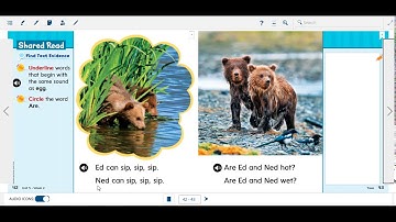 Wonders - Unit 5 Week 2 - Ed and Ned