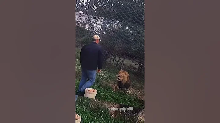 He want something else💀#videoedits60 #animals #lion - DayDayNews