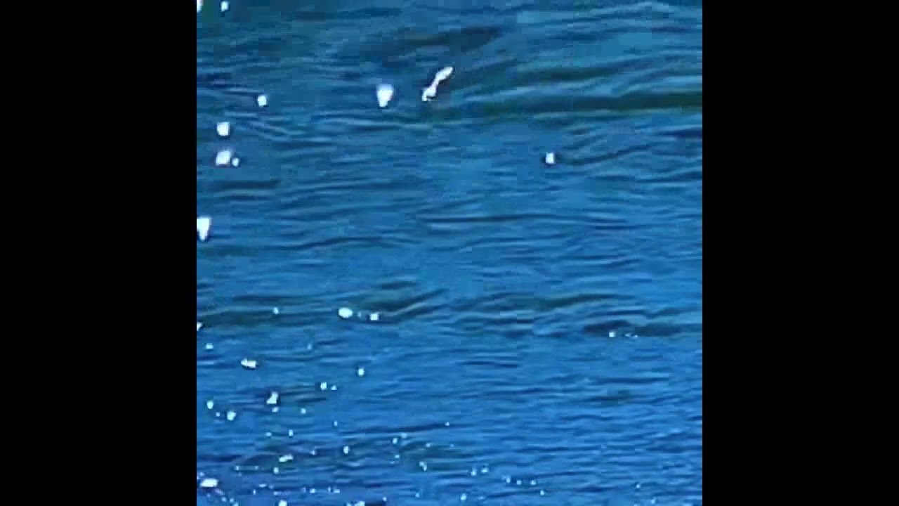 Watch "Here Next To You" DJ OLIVE somewhere on YouTube
