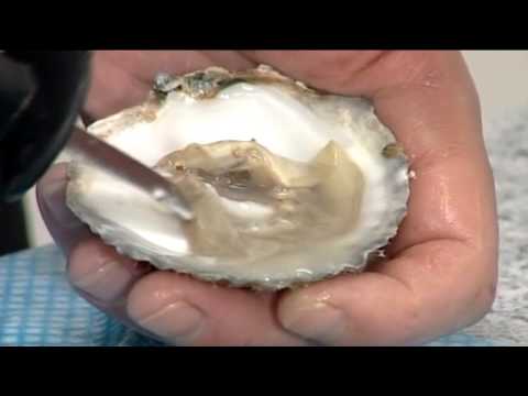 How to open Flat Oysters | 104