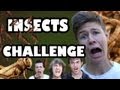 Seb la frite  insects challenge