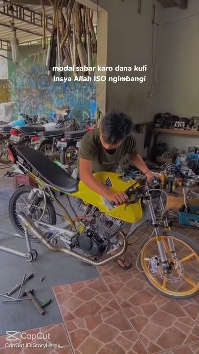 kata-kata Herex Tiger Kuning Trondol