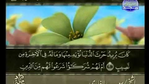 سورة الشورى الشيخ سعد الغامدى Sheikh Saad Al Ghamdi Surat Ash-Shura