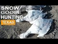 Some Early Snow In The Forecast | GEESE Hunting In TEXAS