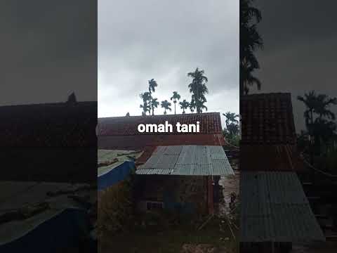 Omah Tani nampak belakang