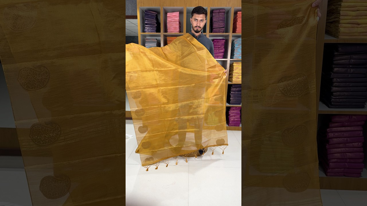 Royal Tissue Silk Zari Weaving & Mango Border Saree