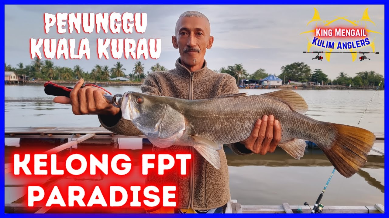 𝐊𝐄𝐋𝐎𝐍𝐆 𝐅𝐏𝐓 𝐏𝐀𝐑𝐀𝐃𝐈𝐒𝐄 / 𝐊𝐄𝐋𝐎𝐍𝐆 𝐏𝐀𝐊𝐓𝐀𝐌 𝐊𝐔𝐀𝐋𝐀 𝐊𝐔𝐑𝐀𝐔