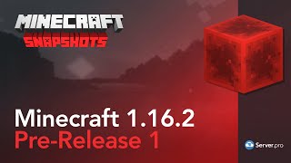 Minecraft 1.16.2 Pre-Release 1 - Server.pro