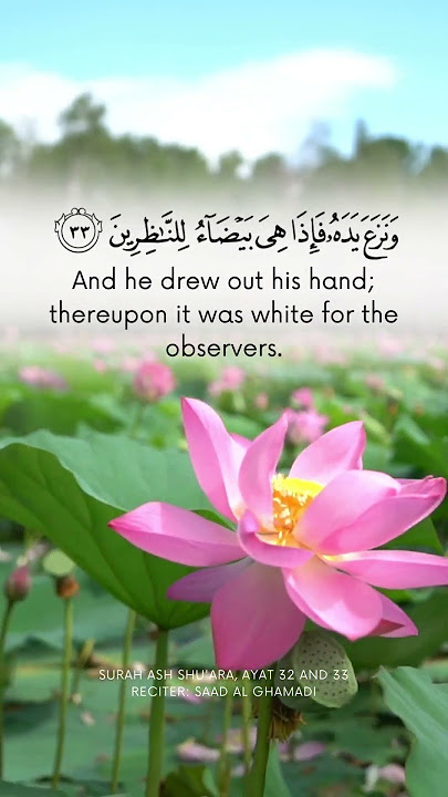 Surah Ash Shu'ara, ayat 32 and 33