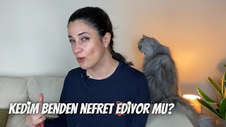 Kedinizin sizden nefret ettiğini gösteren 13 işaret‼️