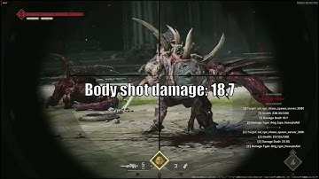 (FIXED) The Chaos Spawn headshot damage is bugged