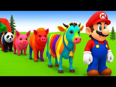 سورة البقرة تلاوة مرتلة بصوت الشيخ ياسر الدوسري 